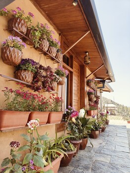 snovika the organic farm and stays