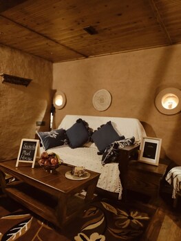 snovika the organic farm and stays