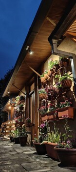 snovika the organic farm and stays