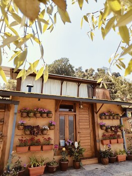 snovika the organic farm and stays