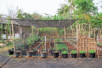 narucha farmstay