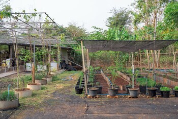 narucha farmstay