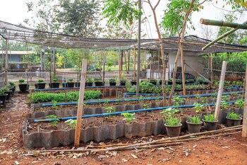narucha farmstay