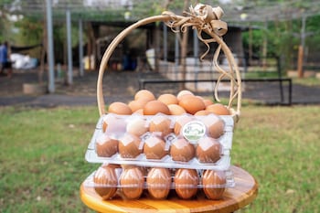 narucha farmstay