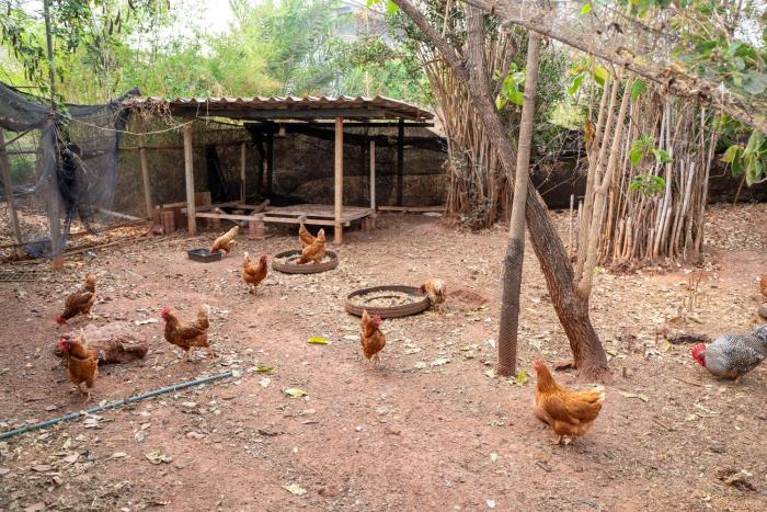 narucha farmstay
