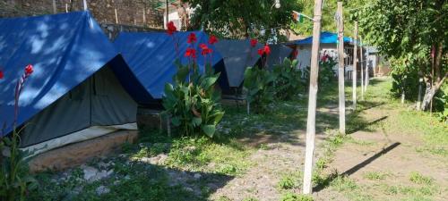 kinara camping and adventure