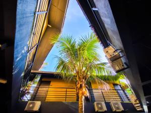 a rock resort langkawi by manhattan group