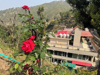 hillcrest valley ranikhet