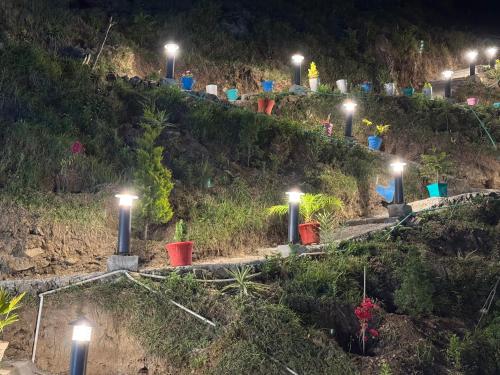 Hillcrest Valley Ranikhet,,3 star