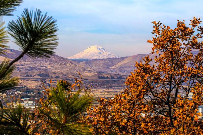 the dalles