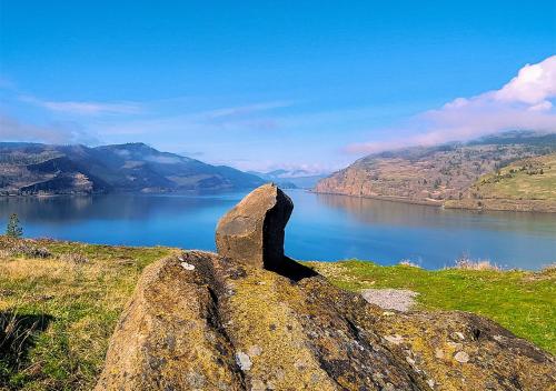 the dalles
