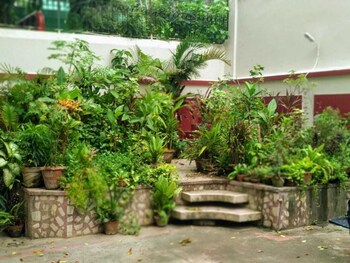 yellowbrick calcuttas freshest bnb