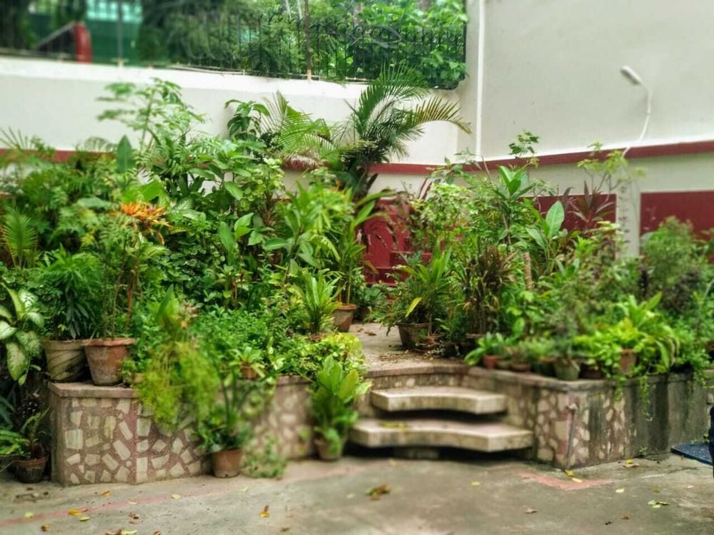 yellowbrick calcuttas freshest bnb