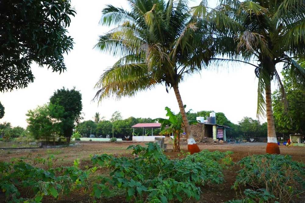 radhe farm 200mtr from devaliya park
