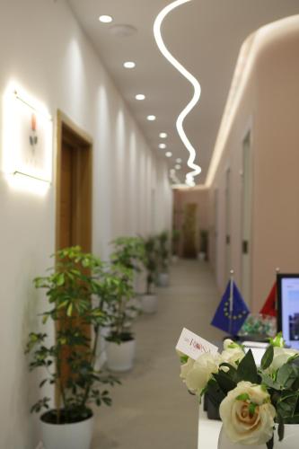 hotel la rosa