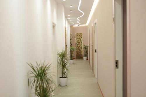 hotel la rosa