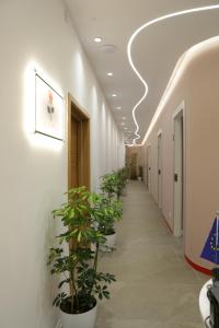 Hotel La Rosa,,3 star