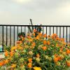 aarambh by shivaneel hospitality
