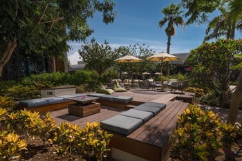 turtle bay hotel