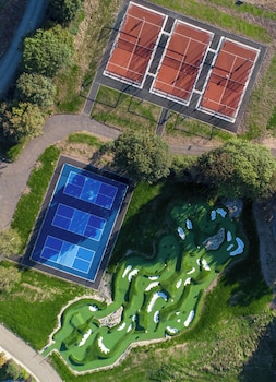 Mad Swans In The Mendips,,3 star