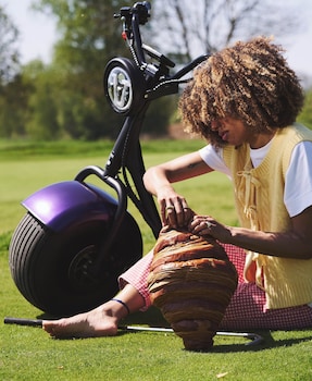 mad swans in the mendips