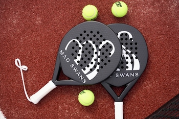 mad swans in the mendips