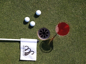 mad swans in the mendips