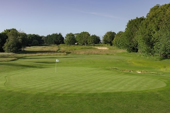 mad swans in the mendips