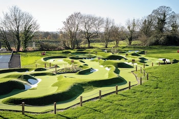 mad swans in the mendips