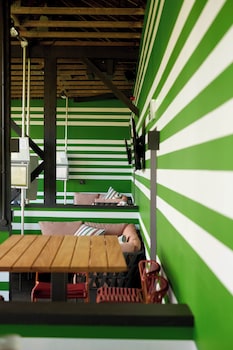 mad swans in the mendips