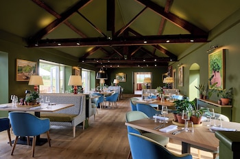 mad swans in the mendips