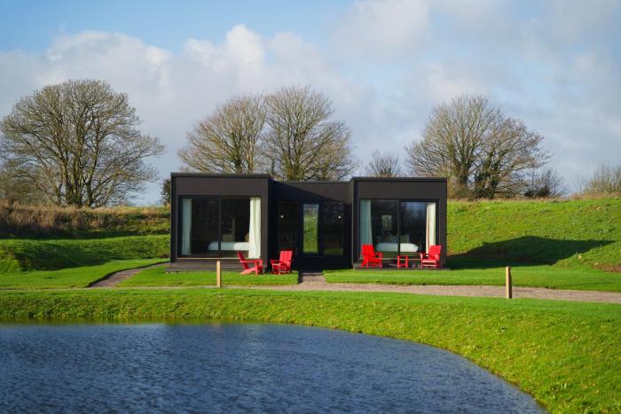 mad swans in the mendips