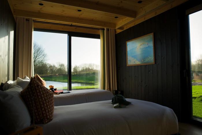 mad swans in the mendips