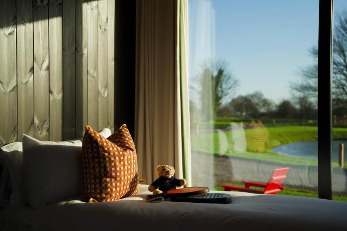 mad swans in the mendips