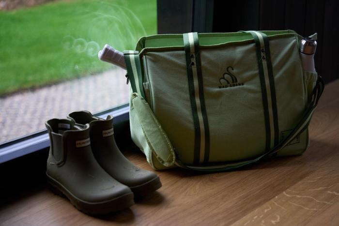 mad swans in the mendips