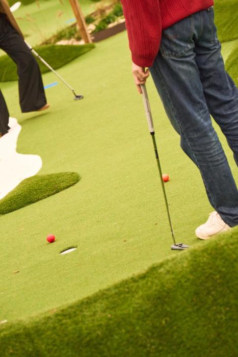 mad swans in the mendips