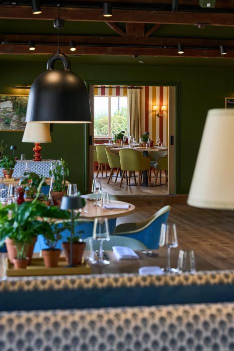 mad swans in the mendips