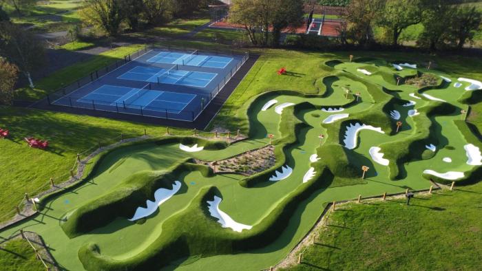 mad swans in the mendips