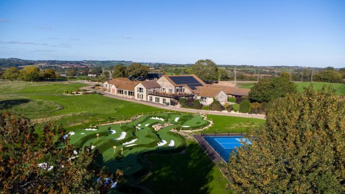 mad swans in the mendips
