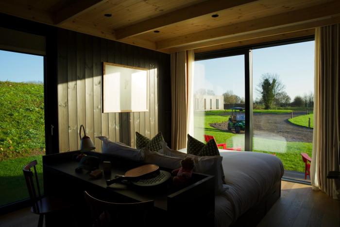 mad swans in the mendips