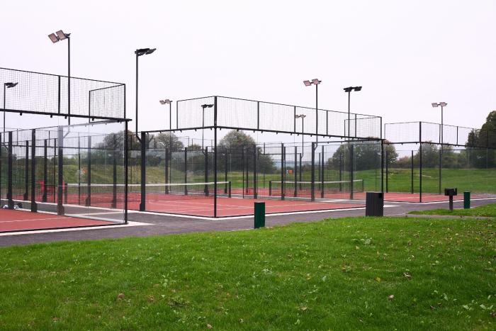 mad swans in the mendips