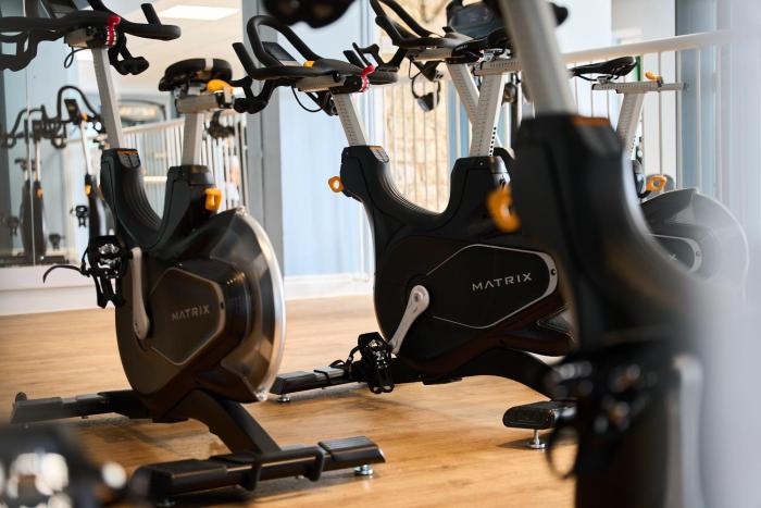 mad swans in the mendips