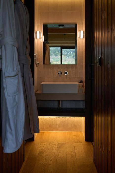 mad swans in the mendips