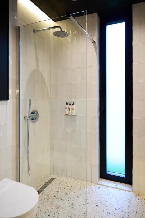 mad swans in the mendips