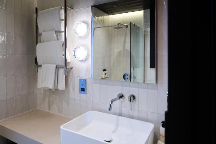 mad swans in the mendips