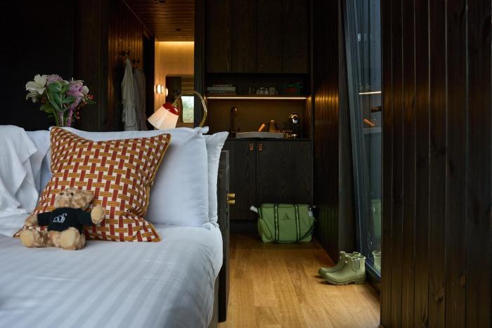 mad swans in the mendips