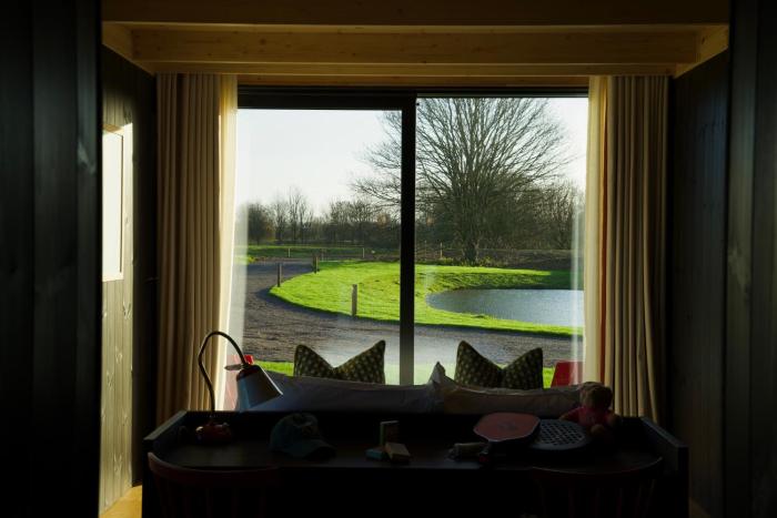 mad swans in the mendips