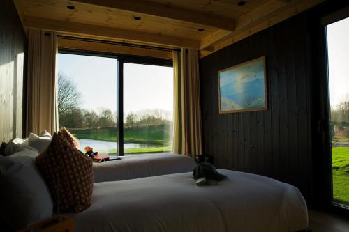 mad swans in the mendips