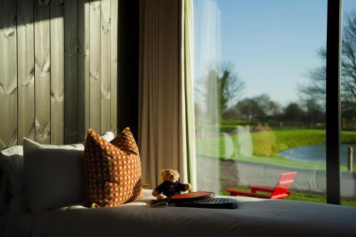 mad swans in the mendips