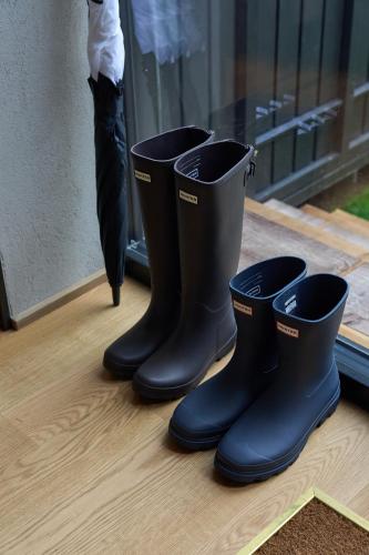 mad swans in the mendips